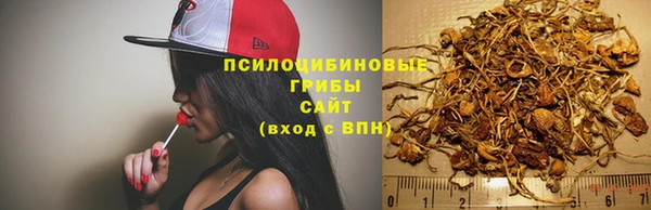 метамфетамин Белокуриха